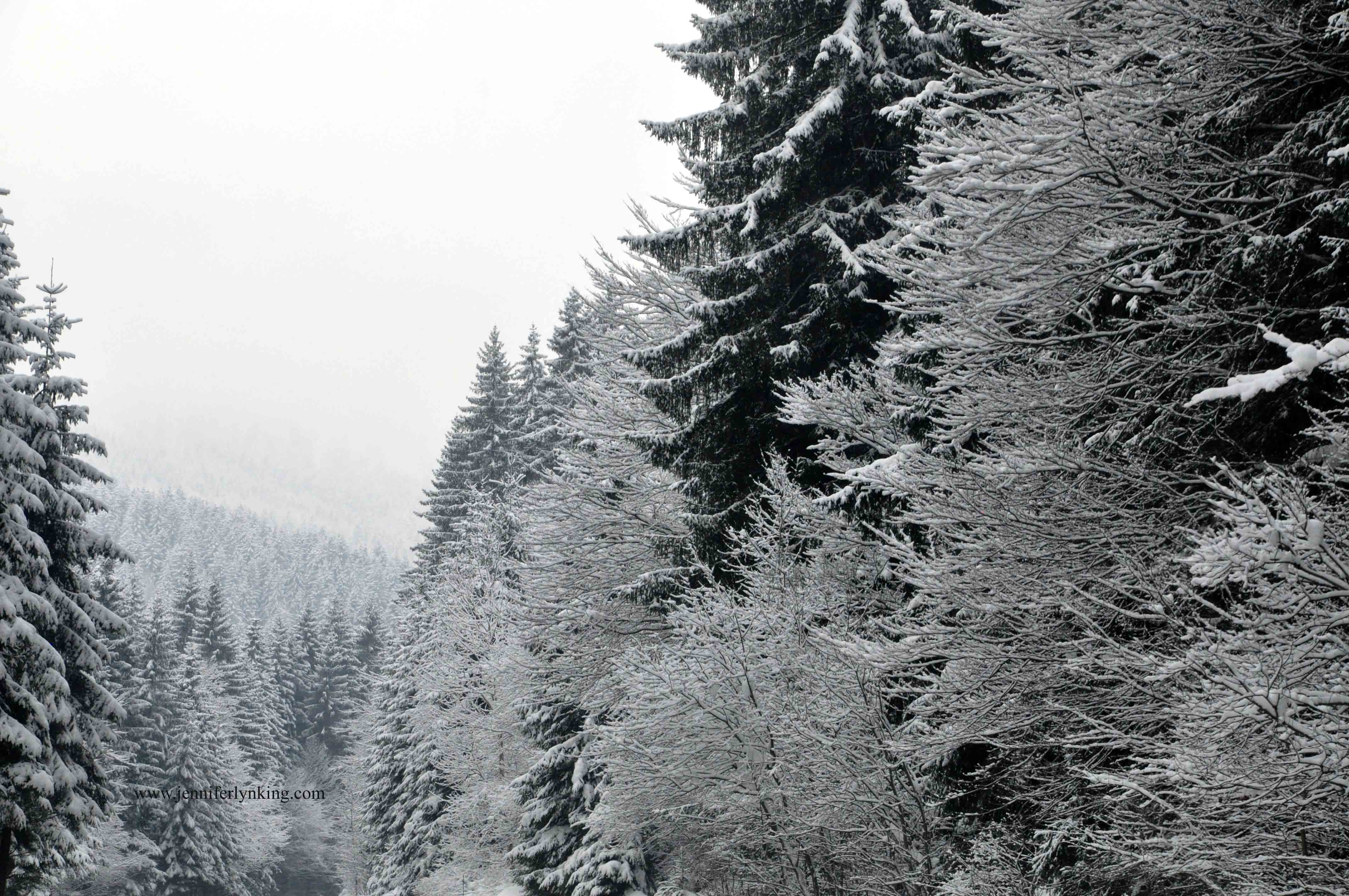 Austrian Alps at Christmas