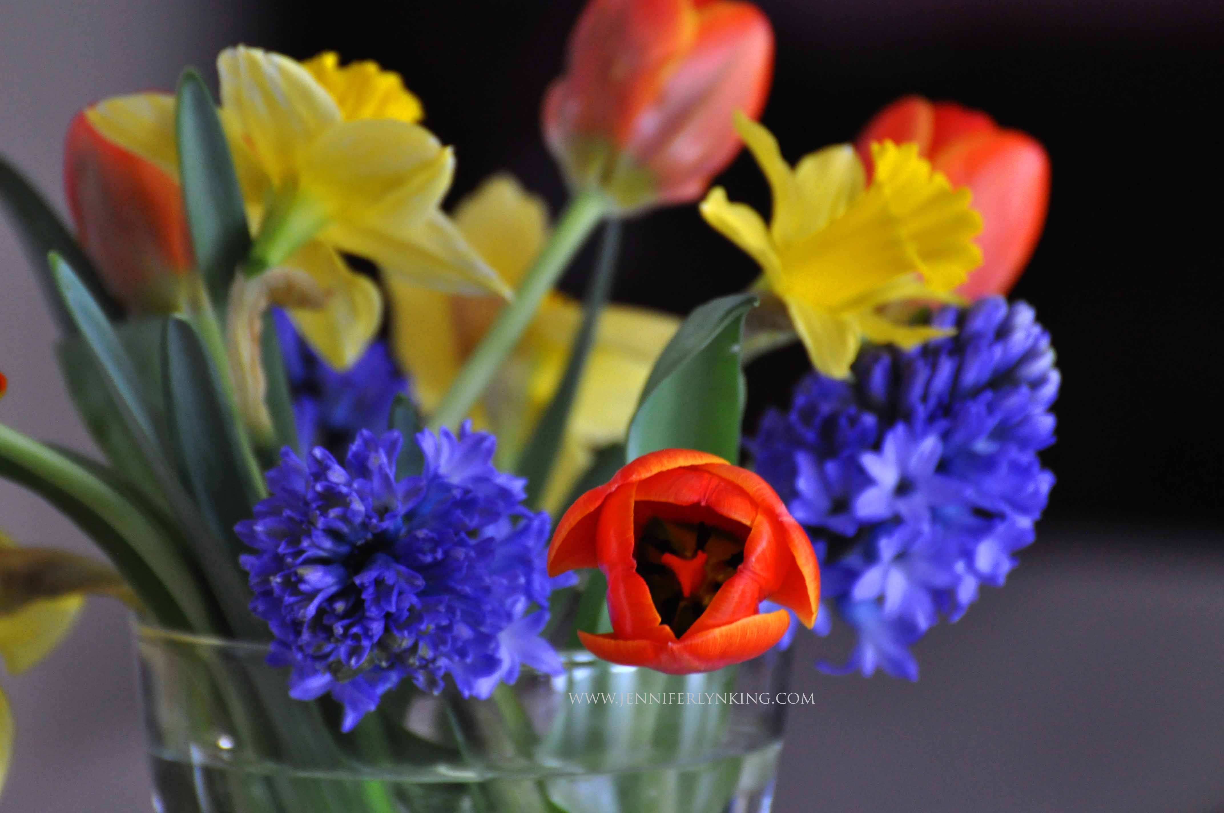 Daffodils, Hyacinths, and Tulips